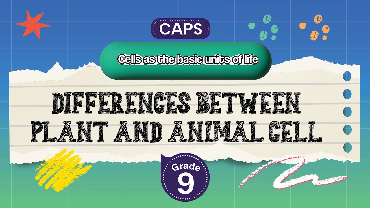 [GRADE 9] Differences between plant and animal cell