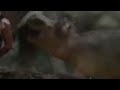 Zoombies 2016 Hippopotamus Screen Time