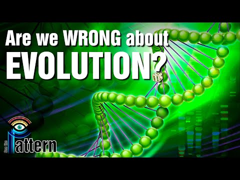 Are we wrong about Evolution?