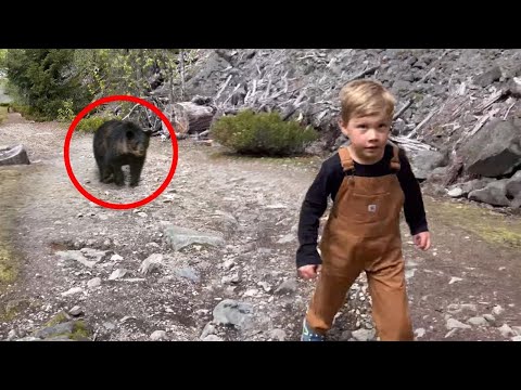 30 Scariest Animal Encounters of The Year (Part 3)