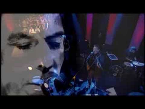 Videoclip de Venus In Furs (Live) — John Cale