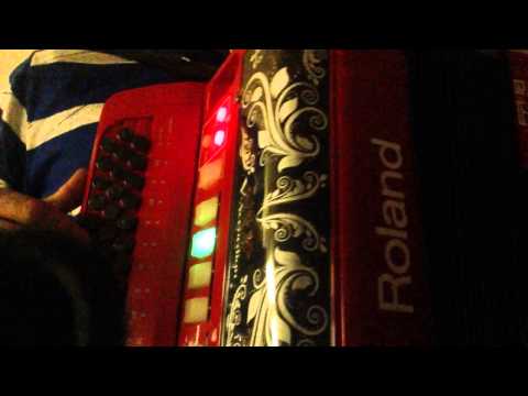 Concertinas Roland-FR18 viras