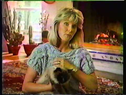 '80s Ad Breaks Vol. 26 - February 1987