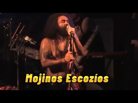 Mojinos Escozíos Reacción