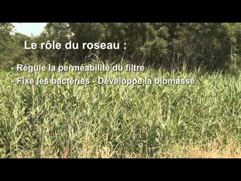 comment traiter les nitrates