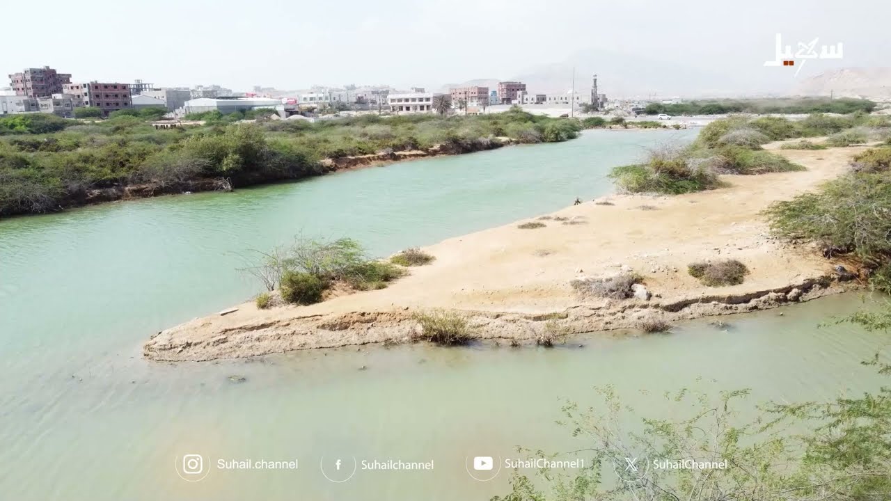 مورد ثمين يهدر في البحر