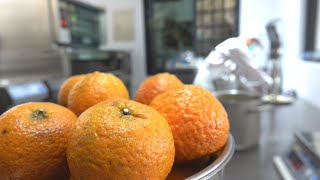 Re: [閒聊] 老了要怎麼防老