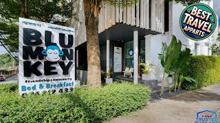Blu Monkey Bed and Breakfast Phuket | Phuket, Thailand | Hotel Review 🏨