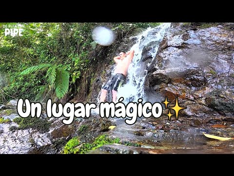 Explorando la Chorrera en La Cumbre, Valle del Cauca 🌿