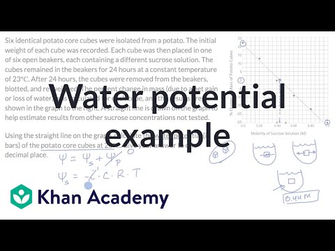 Water potential