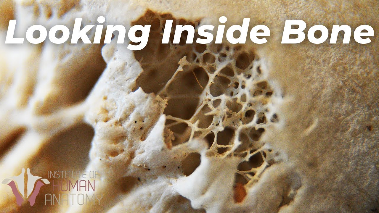 Diana Alonso Gálvez-2