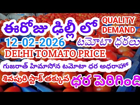 12-02-2026#DELHI MARKET TOMATO PRICE INCREASED 