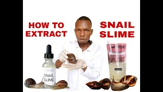 HOW TO EXTRACT SNAIL SLIME