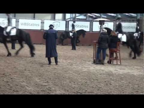 Stal Okkema's Douwe v. Maurus op de selectie van de Eurofriesian Cup 2012