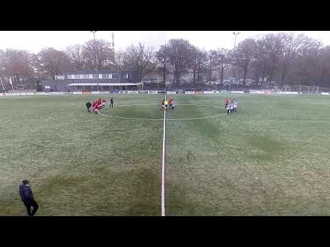 NEO JO13-1 - DVS'33 JO13-1