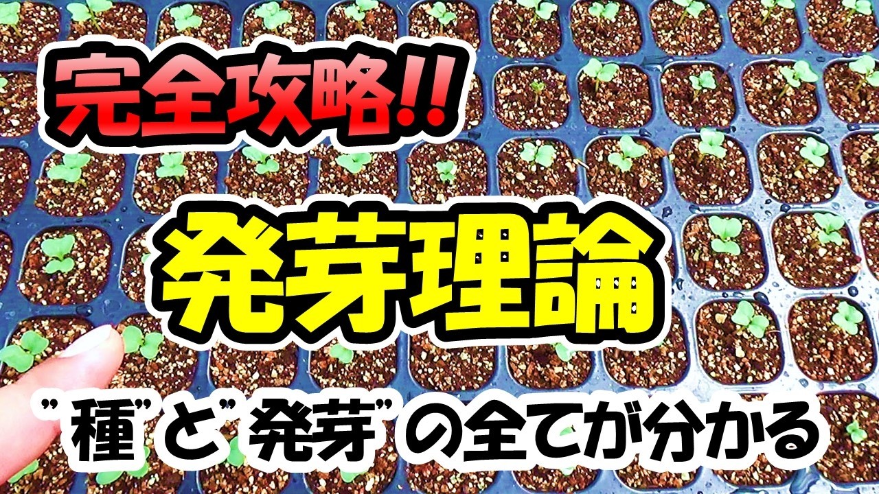 【種のプロが教える！】発芽”完全攻略”「発芽を成功させるために必要なこと」