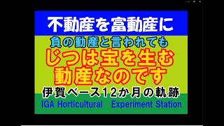 ネットで土地を買ってみた 不動産を富動産に⑰ 1年間の軌跡