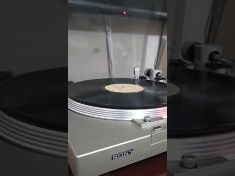 Orquestra Divina - Guilherme Lamounier
