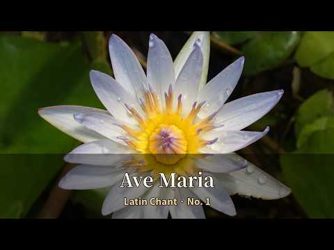 Ave Maria (Latin Chant No. 1) | Catholic Prayer Music for Pr…