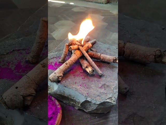 holi rangoli