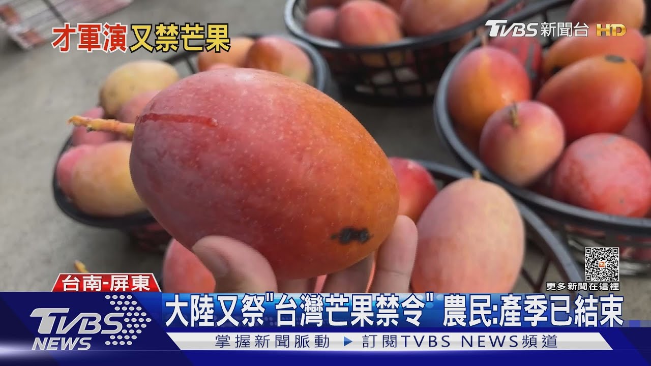 大陸又祭「台灣芒果禁令」驗出害蟲！　農民：產季早就結束