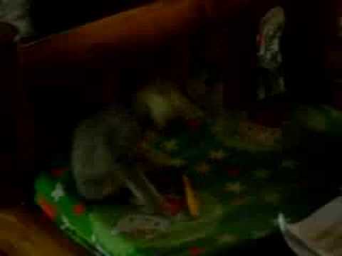 caloy wants to learn to write