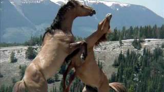 Rush Of Fools-We All