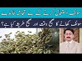 Health Benefits Of Fennel Seed || Saunf Kay Fayde | Dr Faisal Syed