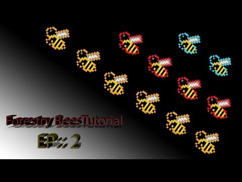 Forestry Bee Tutorial:: Ep 2:: Basic Breeding!