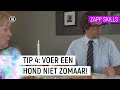 MET EEN HOND OMGAAN - SKETCH | Zapp Skills | NPO Zapp