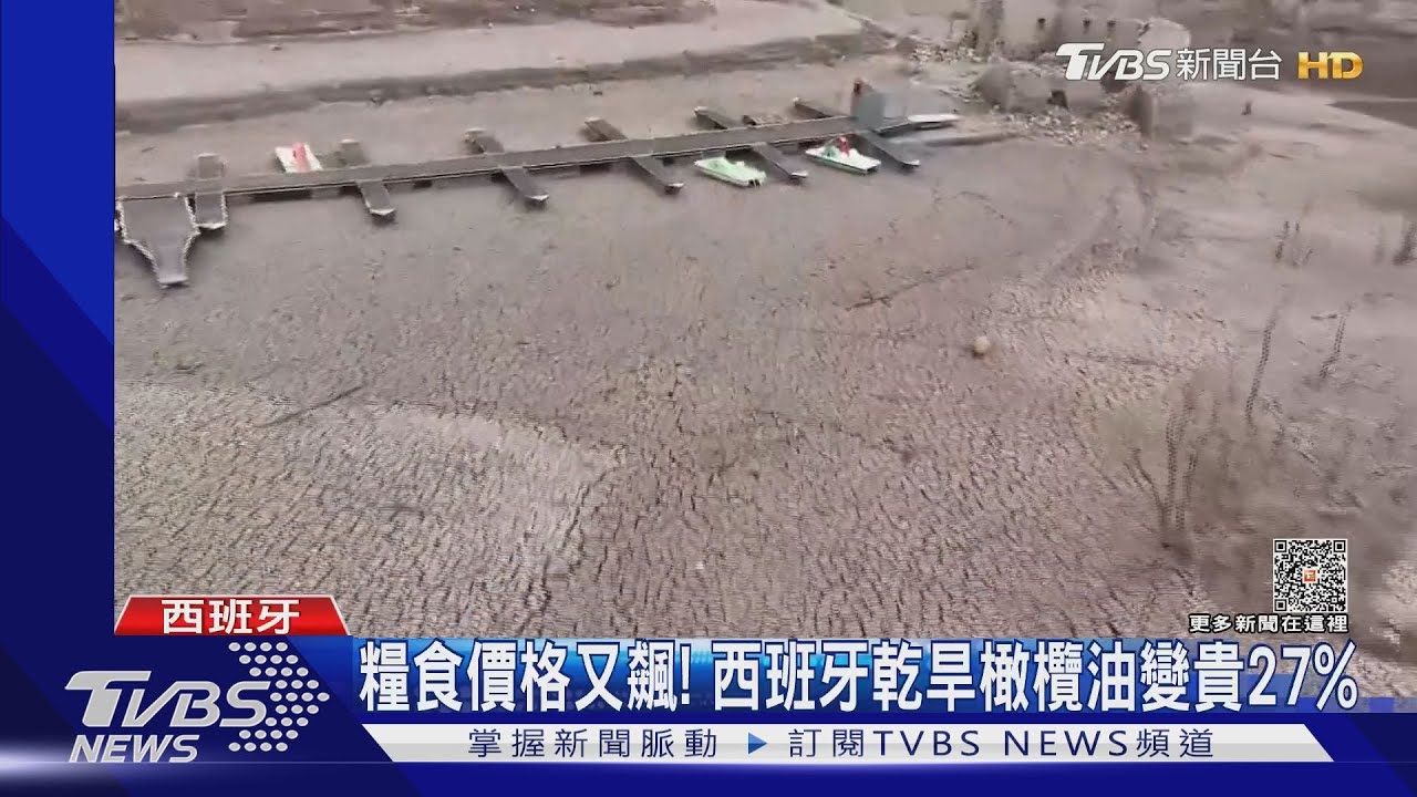 糧食價格又飆! 西班牙乾旱橄欖油變貴27%