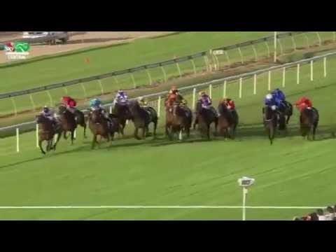 DOOMBEN 10,000 2015 -  Boban