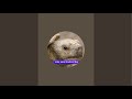 Mr T The Giant Sulcata Tortoise Is Live