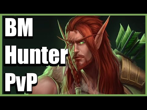 Massive Damage - BM Hunter PvP