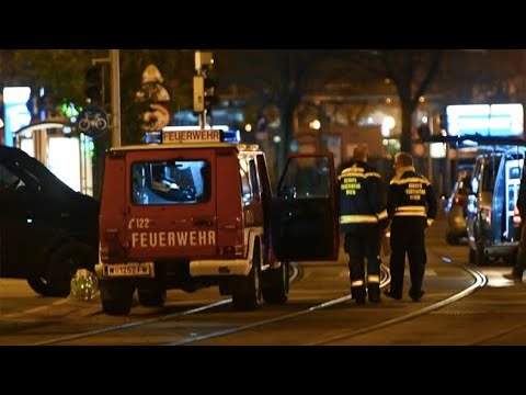 هجوم منظم بأسلحة متطورة من أشخاص على مواقع متعددة في وسط فيينا
