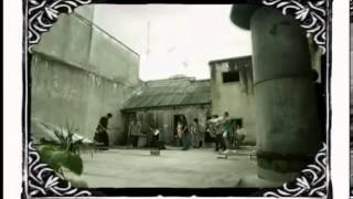 El Viejo Lyrics English Translation
