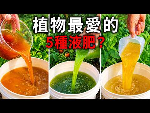 連枯死的植物也能起死回生！5種立即見效的天然肥料