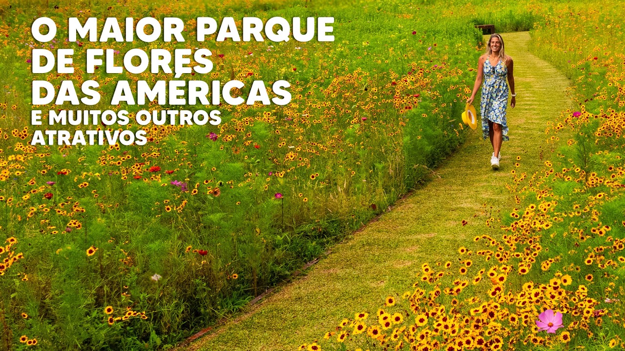 SÃO FRANCISCO DE PAULA NO RIO GRANDE DO SUL | O que fazer na cidade?