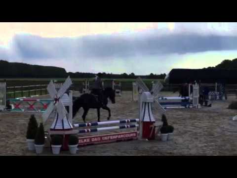 4 y stallion by Connor