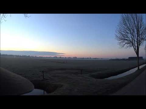 Kraaien beheer 20-03