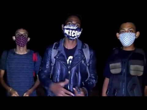 FOMOS ATRÁS DA CRIATURA / VIMOS UM OVNI