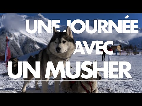 Une journée avec un Musher à Saint-Gervais Mont-Blanc