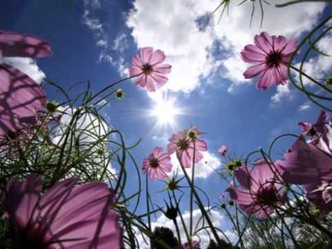 H μέρα εκείνη δεν θ' αργήσει - (διασκευή Κ. Βήτα).