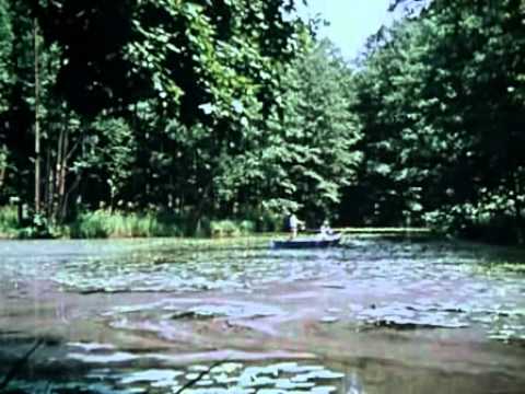 Šíleně smutná princezna - znám jednu starou zahradu.wmv