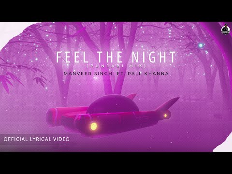 Manveer Singh ft. Pall Khanna - Feel The Night