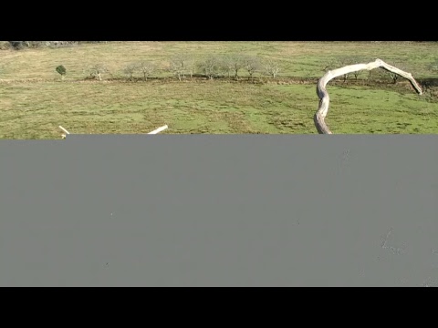 Glaslyn Ospreys Live Stream