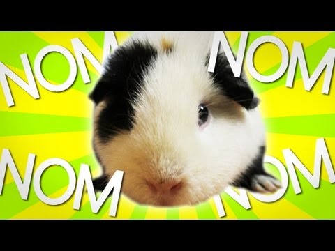 Teddybaer14’s Video 33703684476 BsvxAPIyRwE