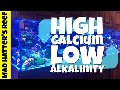 How to Fix High Calcium and Low Alkalinity