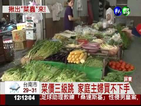 颱風菜價三級跳 有錢還買不到!