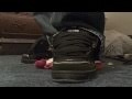 Ice Cold Globes Stomp Bear